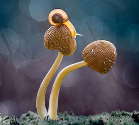 永久授权免费的怎么去攻击一个网站与防护